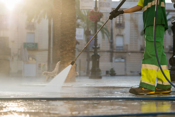 Best Dumpster Area Cleaning  in Fern Acres, HI